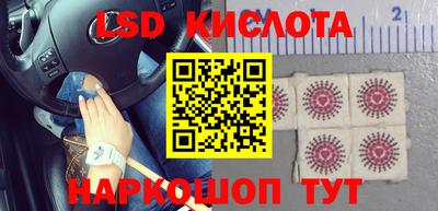 прущие крисы Аргун