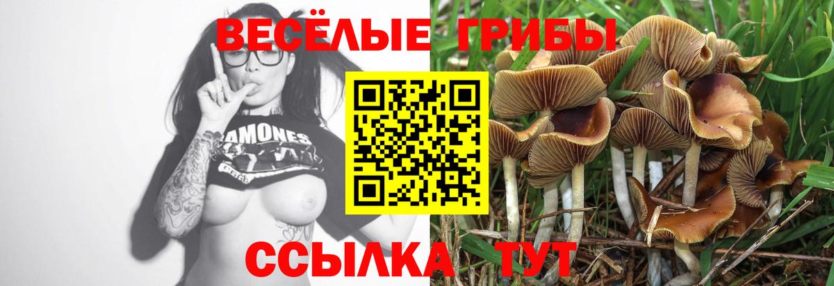 Псилоцибиновые грибы мицелий  Вход с VPN  Великий Устюг 
